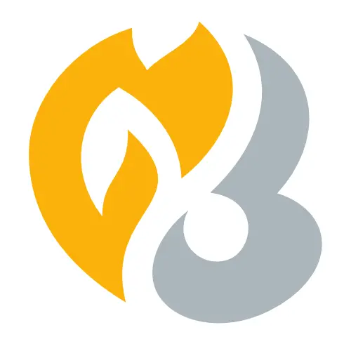 HeartGold SoulSilver symbol